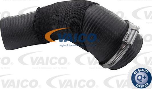 VAICO V95-0625 - Gaine de suralimentation droxauto.com