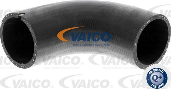 VAICO V42-0565 - Gaine de suralimentation droxauto.com