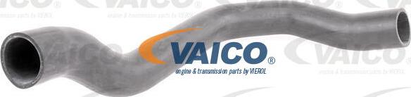VAICO V42-0566 - Gaine de suralimentation droxauto.com