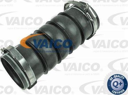 VAICO V42-0614 - Gaine de suralimentation droxauto.com