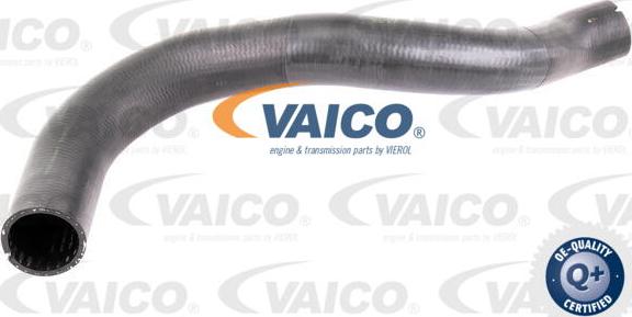 VAICO V42-0610 - Gaine de suralimentation droxauto.com