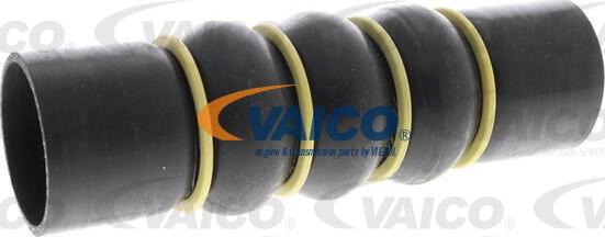 VAICO V42-0871 - Gaine de suralimentation droxauto.com