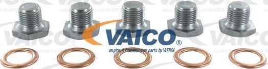 VAICO V42-0259 - Vis-bouchon, carter d'huile droxauto.com
