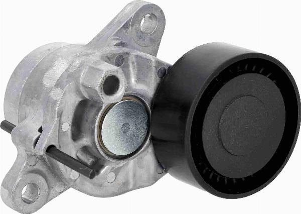 VAICO V42-1075 - Tendeur de courroie, courroie trapézoïdale à nervures droxauto.com