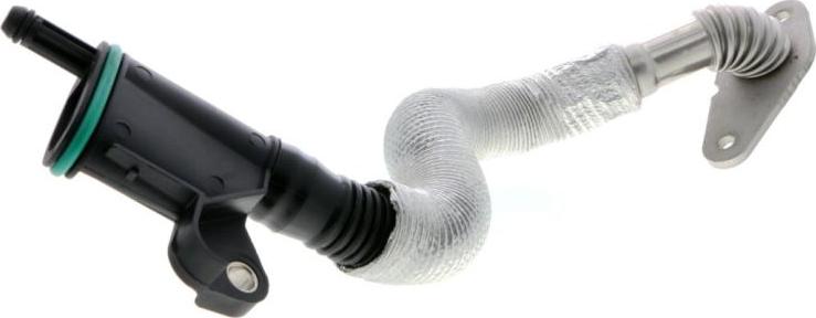 VAICO V10-4852 - Tuyau, ventilation de carter-moteur droxauto.com