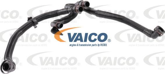VAICO V10-5458 - Tuyau, ventilation de carter-moteur droxauto.com
