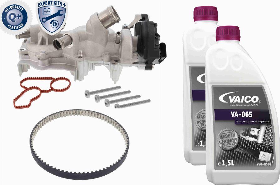 VAICO V10-50114-XXL - Pompe à eau + kit de courroie de distribution droxauto.com