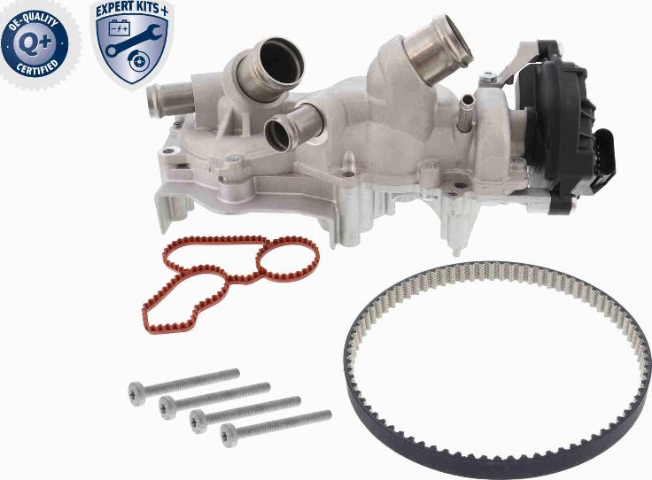 VAICO V10-50114 - Pompe à eau + kit de courroie de distribution droxauto.com