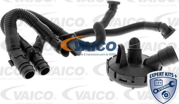 VAICO V10-6492 - Kit de réparation, ventilation du carter-moteur droxauto.com