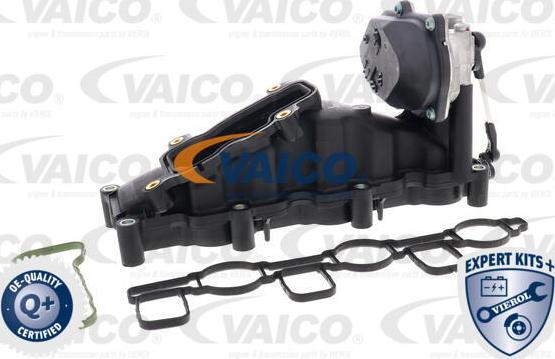 VAICO V10-6482 - Module de tube d'admission droxauto.com