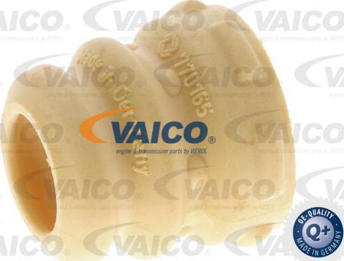 VAICO V10-6029 - Butée élastique, suspension droxauto.com