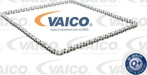 VAICO V40-1813 - Chaîne de distribution droxauto.com