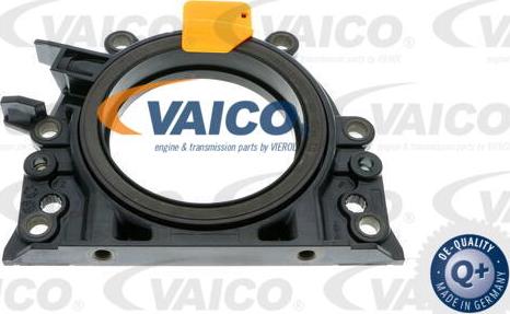 VAICO V10-3686 - Bague d'étanchéité, vilebrequin droxauto.com