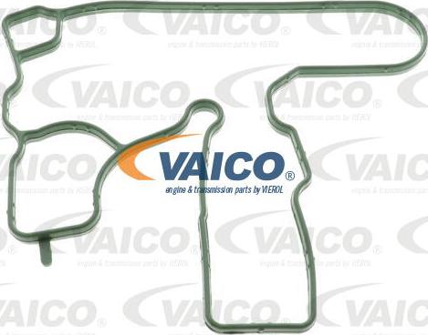 VAICO V10-3884 - Joint spi de vilebrequin, ventilation du carter-moteur droxauto.com