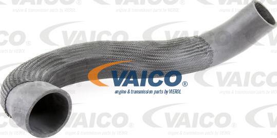 VAICO V10-3833 - Gaine de suralimentation droxauto.com