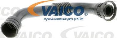 VAICO V10-2941 - Tuyau, ventilation de carter-moteur droxauto.com