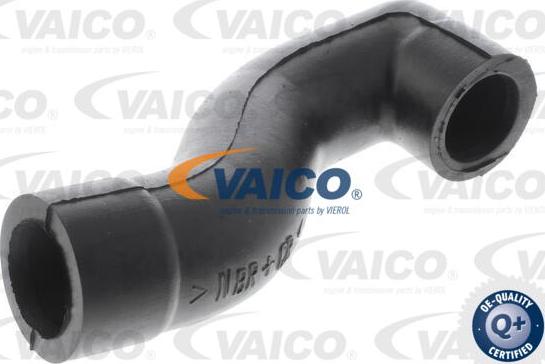 VAICO V30-0799 - Tuyau, ventilation de carter-moteur droxauto.com