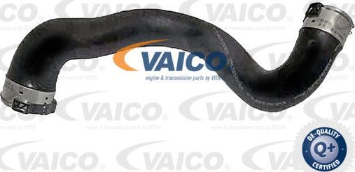 VAICO V30-1067 - Gaine de suralimentation droxauto.com