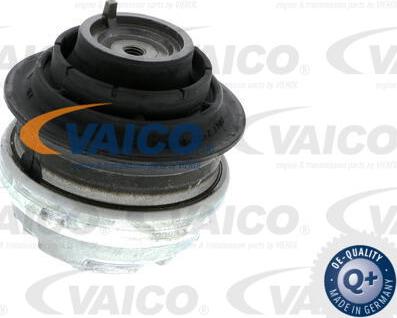 VAICO V30-1113-1 - Support moteur droxauto.com