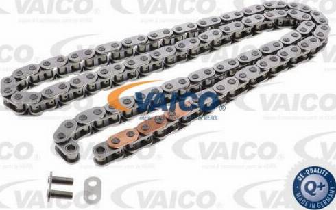 VAICO V30-3672 - Chaîne de distribution droxauto.com