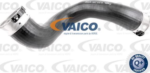 VAICO V30-2918 - Gaine de suralimentation droxauto.com