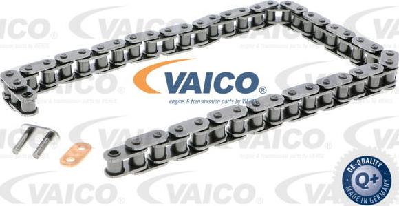 VAICO V30-2320 - Chaîne de distribution droxauto.com
