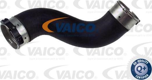 VAICO V30-2716 - Gaine de suralimentation droxauto.com