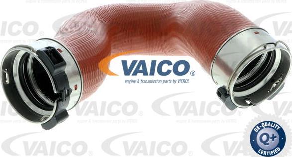 VAICO V30-2727 - Gaine de suralimentation droxauto.com