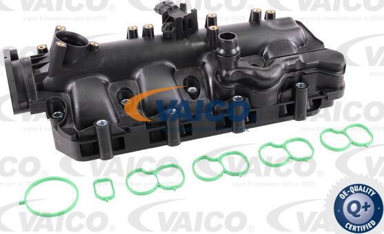 VAICO V24-0990 - Module de tube d'admission droxauto.com
