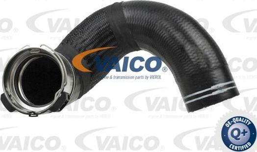 VAICO V24-0676 - Gaine de suralimentation droxauto.com