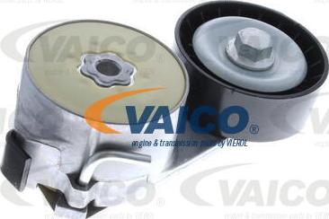 VAICO V24-0141 - Poulie renvoi / transmission, courroie trapézoïdale à nervures droxauto.com