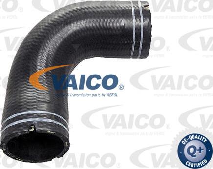 VAICO V24-1063 - Tuyau, ventilation de carter-moteur droxauto.com