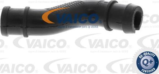 VAICO V24-1293 - Tuyau, ventilation de carter-moteur droxauto.com