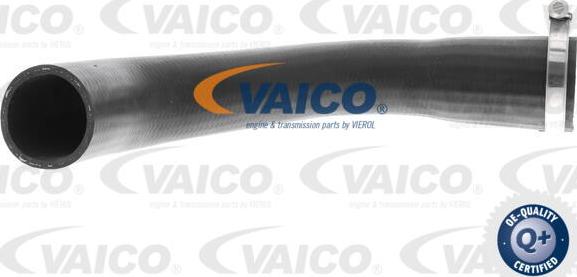 VAICO V25-1041 - Gaine de suralimentation droxauto.com