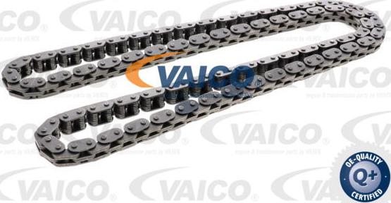 VAICO V25-2099 - Chaîne de distribution droxauto.com