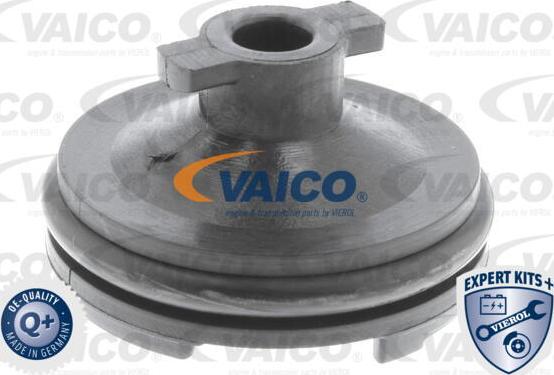 VAICO V25-1116 - Vis-bouchon, carter d'huile droxauto.com