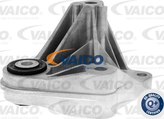 VAICO V25-1258 - Support moteur droxauto.com