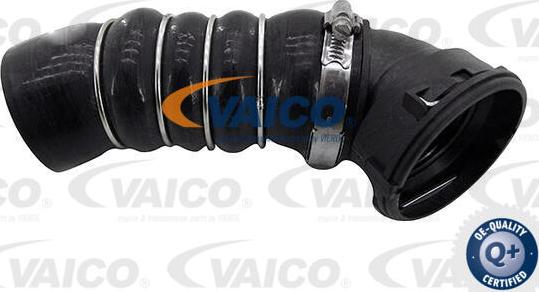 VAICO V20-4359 - Gaine de suralimentation droxauto.com