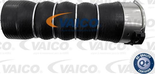 VAICO V20-4366 - Gaine de suralimentation droxauto.com