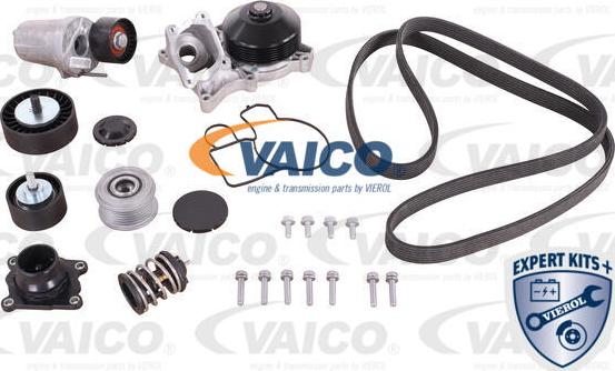 VAICO V20-50100-BEK - Pompe à eau + kit de courroie de distribution droxauto.com