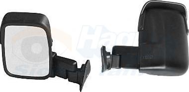 Van Wezel 1896802 - Rétroviseur extérieur droxauto.com