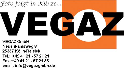 VEGAZ MK-865 - Catalyseur droxauto.com