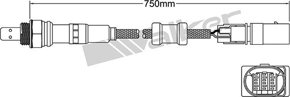VEGAZ ULS-462 - Sonde lambda droxauto.com