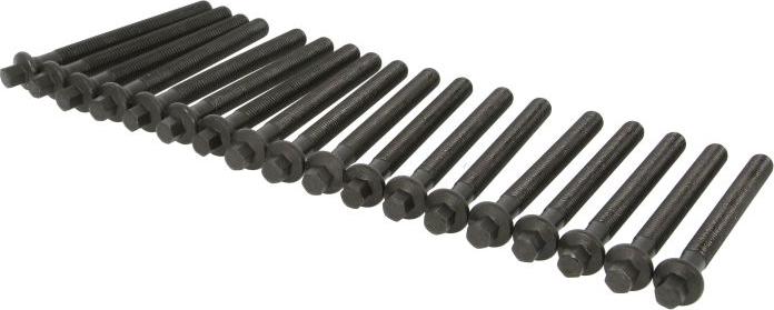 Victor Reinz 14-10569-01 - Jeu de boulons de culasse de cylindre droxauto.com