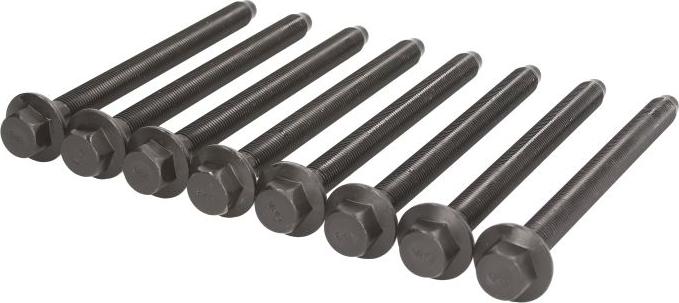 Victor Reinz 14-32344-01 - Jeu de boulons de culasse de cylindre droxauto.com