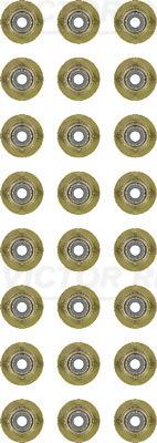 Victor Reinz 12-38546-01 - Jeu de joints d'étanchéité, tige de soupape droxauto.com