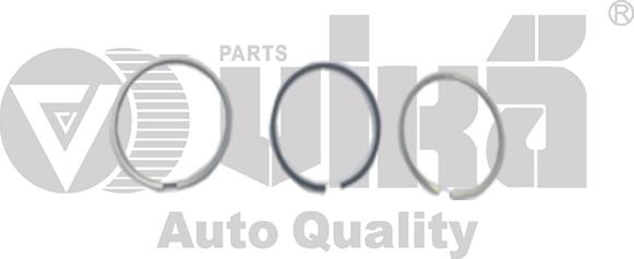 Vika 11981630001 - Jeu de segments de pistons droxauto.com