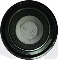 Vika 11091807801 - Poulie renvoi / transmission, courroie de distribution droxauto.com