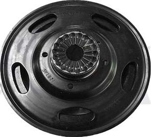 Vika 11055018901 - Poulie, vilebrequin droxauto.com