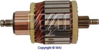 WAI 61-9165 - Induit, démarreur droxauto.com